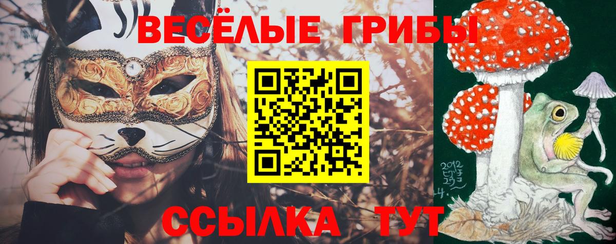 Губкинский  Псилоцибиновые грибы мухоморы  Галлюциногенные грибы Psilocybine cubensis  Вход с VPN 