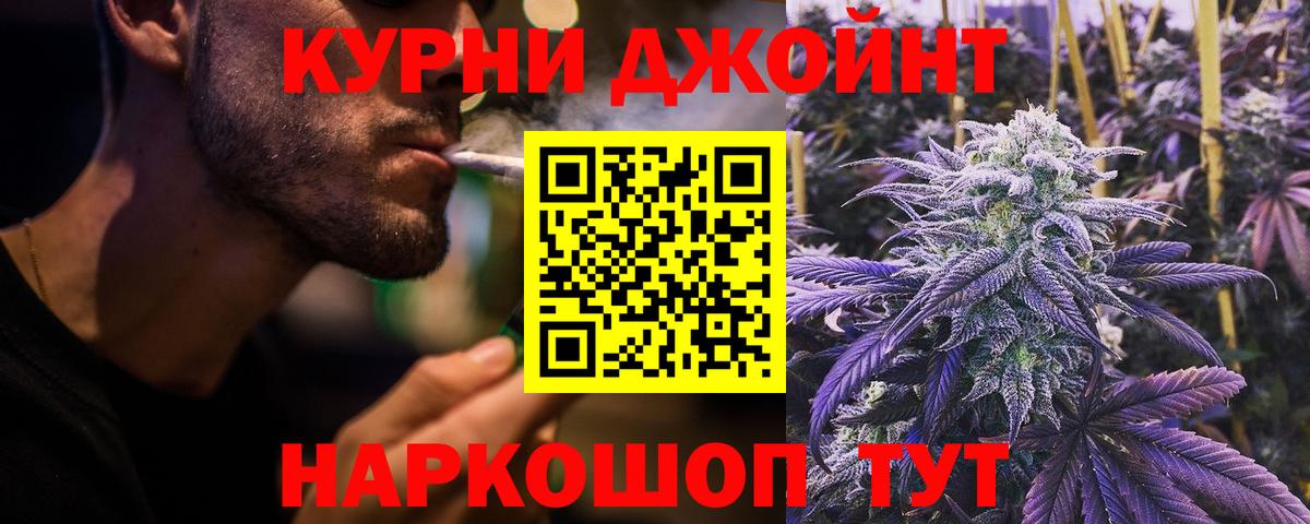 Бошки марихуана гибрид Губкинский